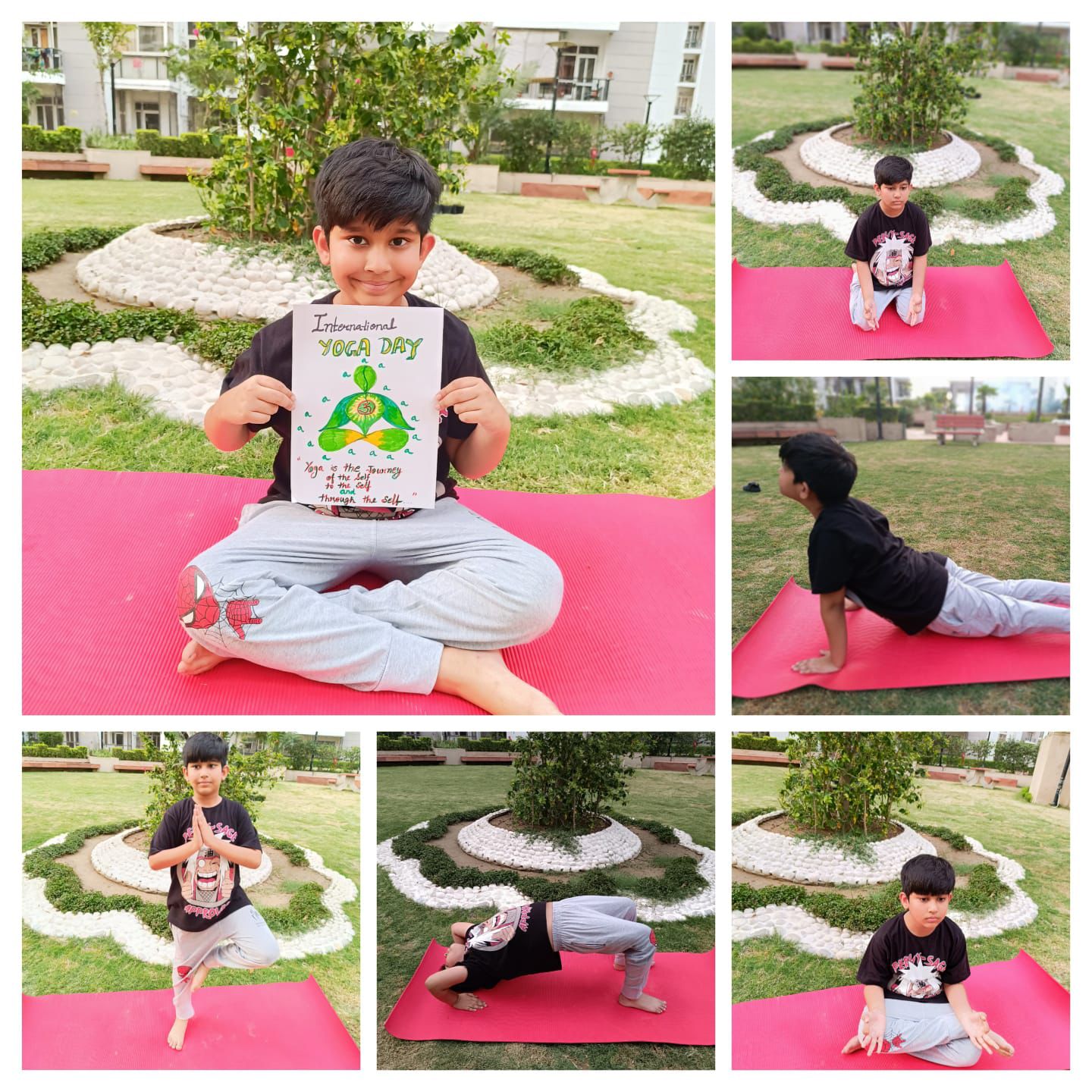 International Day of Yoga
